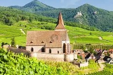 爱游戏体育APP-拜仁vs法兰克福预测分析